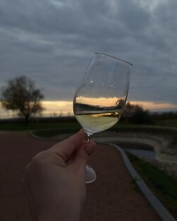Wine aesthetics