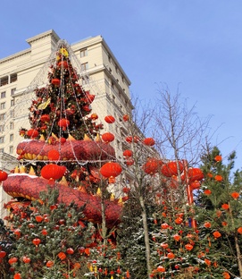 Китайский новый год в Москве