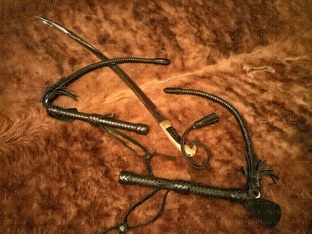 Уроки по фланкировке шашкой и нагайкой