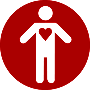 Интервью со студентами