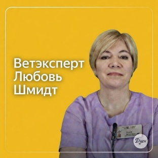 Ветэксперт Шмидт