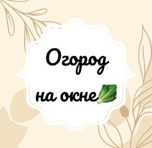 Огород на окне 🥬