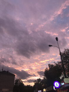 Отрывки и рассказы 