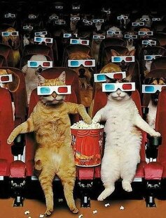 Фееричные банкротства и попадалово