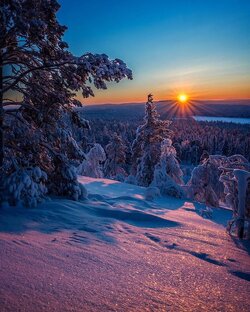 Зима пришла и все застыло❄️⛄