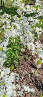 На прогулке...