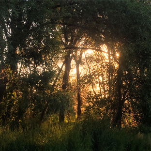 ⚠️ ТОП 10 Самарской области 