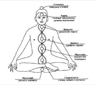 Привет, мы твои ЧАКРЫ