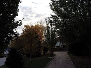 Приключения одной беременности