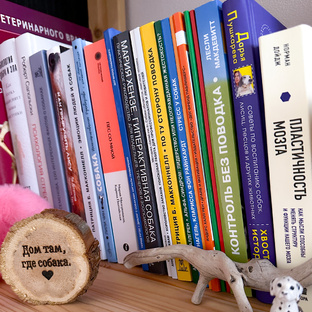 Собачкина библиотека