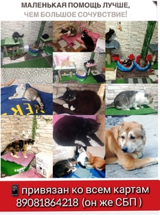 Наши реквезиты  .контакты  и ссылки 