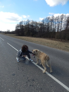 Поездки по Беларуси