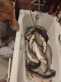 Рыбалка как она есть 