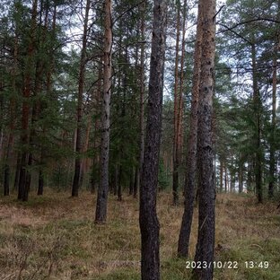 Просто послушать...