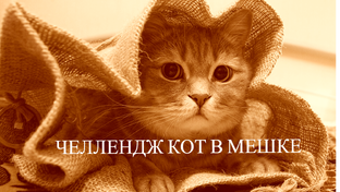 Челлендж Кот в мешке
