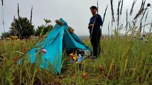 Волжская тропа 2024