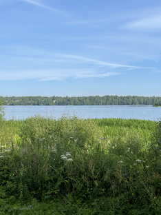 Путешествия 