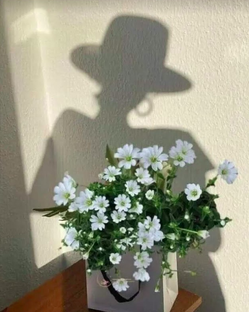 Истории из моей жизни