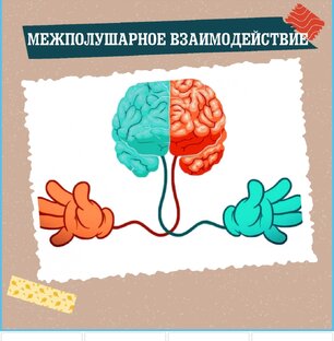 Межполушарное взаимодействие/тренажёры
