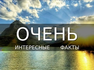 статьи