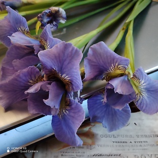 Разно летнее или Там, на солнечной стороне