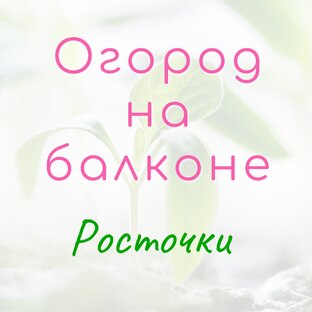 Балконный огород
