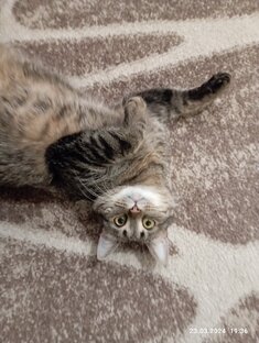   Когда жизнь удалась! 