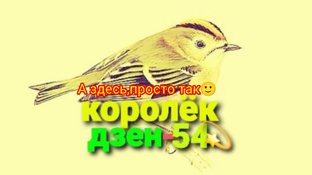 А здесь, просто так🐥