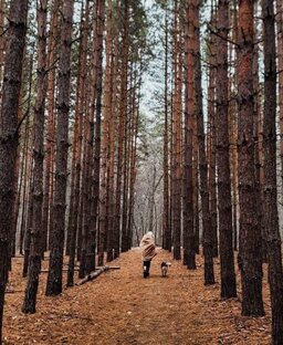 Бузулукский бор