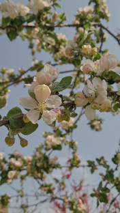 Рубрика „🌸Готовимся к весне🌸”