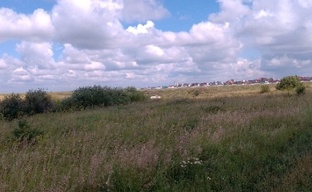 Мероприятия 