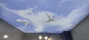 Светопрозрачные натяжные потолки с фотопечатью