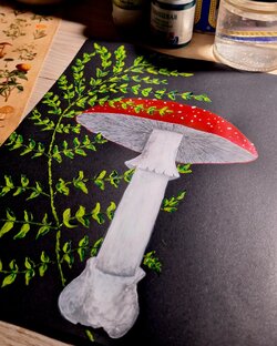 Рисуем вместе🎨
