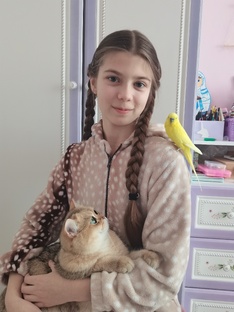 Инглиш лайв учим английский язык
