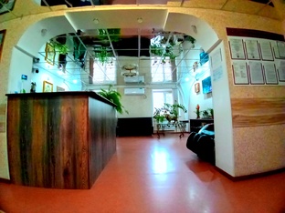 МЕДИЦИНА, ЗДОРОВЬЕ 