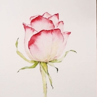 Акварель для начинающих 3-4 уровень