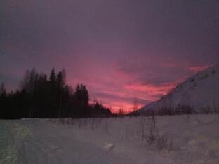 НАЛИМ. КОРЮШКА. 19.03.2025 Г. 