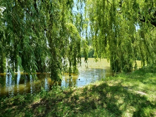 Летний отдых