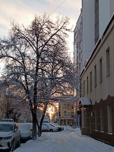 Мир вокруг нас