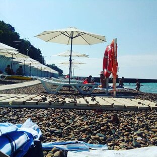 Сдам жилье в Сочи