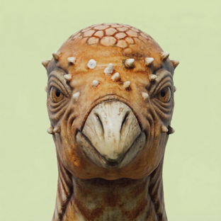 Затерянный мир