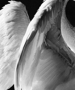 Лирический герой