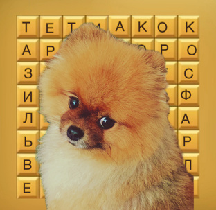 Буквенные головоломки 