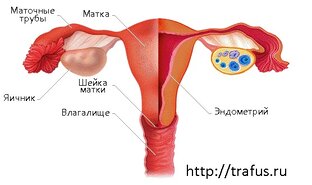По Женской Части