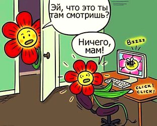 Мужской взгляд на цветы с юмором. 