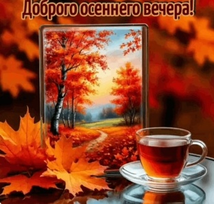 Осень 🍁🍂