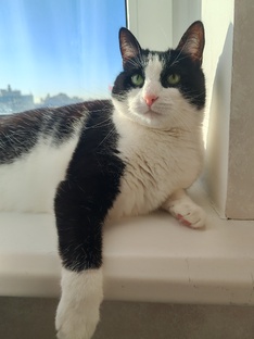 Развлекательный контент