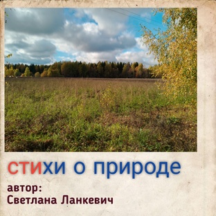 Стихи о природе