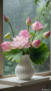 Мысли вслух 