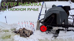 РЫБАЛКА ПО ТАЕЖНЫМ РЕЧКАМ